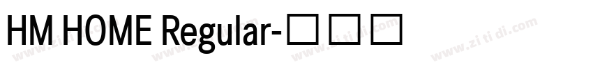 HM HOME Regular字体转换